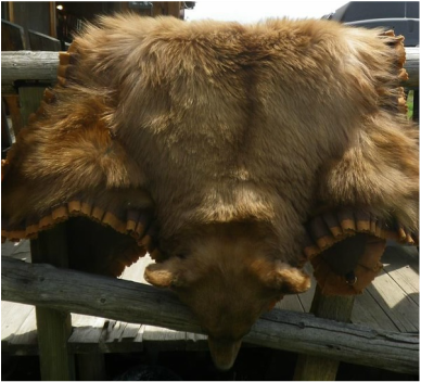 Wyoming Black Bear Rug